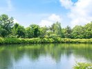 【中庭】からまつ湖