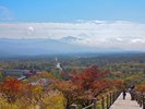 【美し森】紅葉シーズン