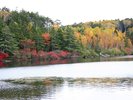 【白駒の池】紅葉シーズン