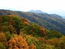 【八ヶ岳高原大橋】紅葉シーズン