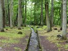 三分一湧水