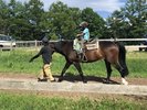 滝沢牧場 乗馬体験