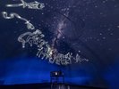 【プラネタリウム(エアドーム式)】