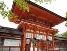 y_/Shimogamo-jinja shrinez