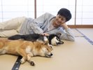 滞在イメージ