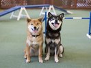 屋内プレイスペースでお友達と記念撮影