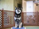 屋内プレイスペースでにこにこ