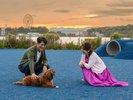�yDOG PARK�z�L�X�Ƃ����F�̐l�H�ŁI