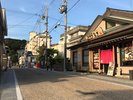 舘山寺門前通り_(C)舘山寺温泉観光協会