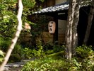 夏の仙洞
