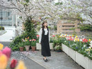 春の当館は、桜をはじめ彩り豊かな花々がお迎え。カラフルに、心躍る旅のひとときを。