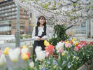 春の当館は、桜をはじめ彩り豊かな花々がお迎え。カラフルに、心躍る旅のひとときを。