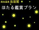 ほたる鑑賞のガイドを行っております。