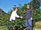 地元の契約農家さんからの新鮮なお野菜