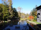 【池庭】池庭を囲む木々が色づく紅葉の季節もおすすめ