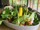 新鮮な地元の季節野菜が中心※写真はイメージです