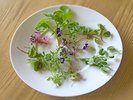 摘みたてのハーブ※写真はイメージです