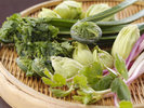 北海道の新鮮な食材をふんだんに使用。中でもここ札幌市南区近郊の旬野菜が好評です