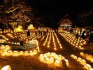 定山渓神社を舞台に行われる幻想的な「雪灯路(ゆきとうろ)」は例年1月下旬〜1週間ほど開催