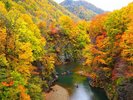 豊平川の上流部にある定山渓でアクティビティを楽しむのもおすすめ