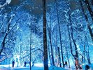 森の中を幻想的にテラス「雪灯路(ゆきとうろ)」