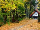 定山渓神社へ参拝&お散歩