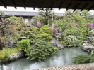 客室から望む日本庭園