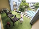 【スタンダードDogルーム】ベランダには人工芝を敷いているため、遊んだり日向ぼっこを楽しめます