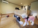 雨の日は室内で、晴れの日はお庭で、天候を気にせず愛犬とのびのび過ごせる特別なお部屋です