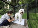 【足洗い場】たくさん遊んだ後も快適に。愛犬専用の足洗い場を完備しています。
