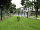 【ドッグラン】館内に宿泊者様限定のドッグランを2か所ご用意しております。