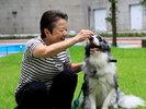 ガーデンではワンちゃんとお散歩も可能です!