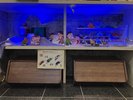 【サービス】お部屋で楽しめる、貸出しの玩具や折り紙♪