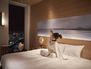 Nagoya Sky Stay -Good Night's Sleep- ONOFF̂킽