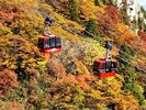 紅葉とロープウェイイメージ