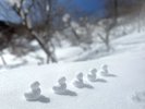 冬の雪玉遊び