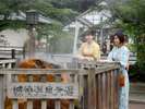 【城崎源泉】城崎温泉の源泉は目の前でご覧いただけます