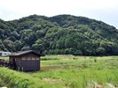 ハチゴロウの戸島湿地/車で約10分