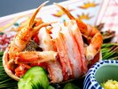 ■【香箱蟹 こうばこがに】味が濃く地元人に人気の赤い宝石「香箱蟹」は、ずわい蟹のメスです。イメージ