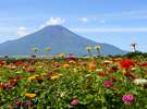 忍野からみた富士山