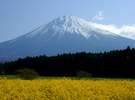 夏の富士