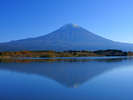 秋の富士山