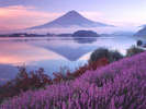 世界文化遺産 富士山