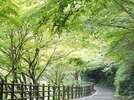 昇仙峡の遊歩道