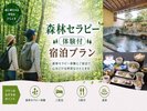 *【武田の杜森林セラピー体験付プラン】心と体を癒すリフレッシュ旅