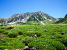 【立山黒部アルペンルート】夏の室堂平の景色。大自然の絶景と癒しのひととき。