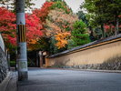 京都の秋