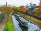 京都伏見・秋の濠川 十石舟乗船場付近