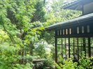 〔鶯宿亭〕専用庭園
