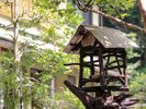 鳥の巣箱を設置致しました。